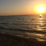 Dragica Daire